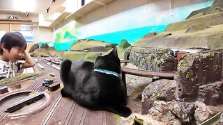 The giant black cat watching over the train is cute