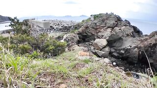 I was petting a cat walking near a shrine on the edge of a cliff.