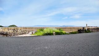 When I sat on the stone steps by the road, the cat that was on the other side of the road came up to me and sat next to me.