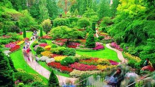 ///Butchart gardens! It's like a floral wonderland/// a place to immerse yourself in  beauty.//