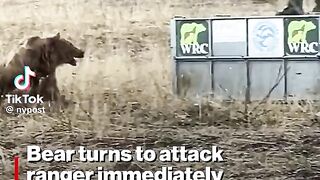 Bear attacks man, Watch What Happened