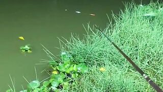 Mancing ikan di malam hari