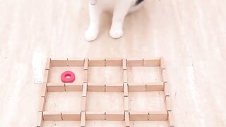 Cat_and_TIC_TAC_TOE(720p).