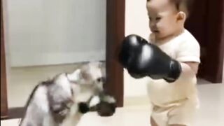 Funny Cat | Kid's and Funny Cat | Intertanmint video For kids  | Funny