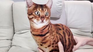 Funny Fake Cat