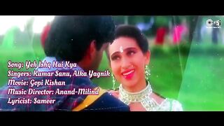 Yeh Ishq Hai Kya - Lyrical _ Gopi Kishan _ Sunil Shetty_ Karisma Kapoor _ Kumar Sanu_ Alka Yagnik