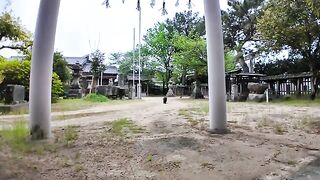 While I was sitting at the shrine, a black cat came walking towards me from a distance.