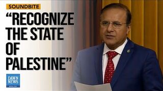 Canadian MP Calls for Recognition of State of Palestine