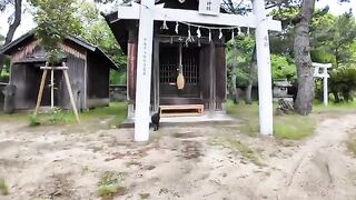 It's fun to be greeted by a black cat when you go to a shrine.