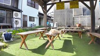 A cat resting on a bench outside a bar on Nekojima