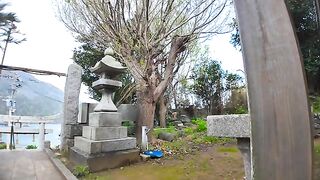 While I was resting at a shrine near the port of Cat Island, a cat came up to me and sat next to me.