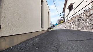 A cute cat I met in a back alley on Nekojima, and when I arrived at the vacant lot, he lay down and asked for Nadenade.