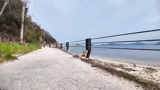 A cat relaxing by the road by the sea