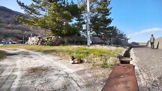 An old cat I met on Cat Island, famous for its flying cats, did her best to fly over the breakwater.