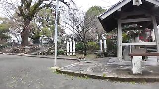 I went to a morning cat meeting held at a shrine.