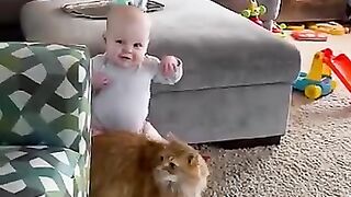 Adorable Fluffy Cat Helps Baby Take First Steps!!