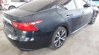 1N4AA6AP2HC426420     2017 NISSAN MAXIMA Lot#64550124 FRONT END"