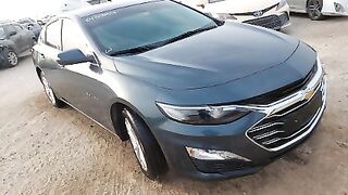 KL1ZA5CS1NB514716  2022 CHEVROLET MALIBU  Lot#64313164 WATER/FLOOD