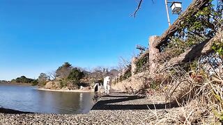 A white cat approached the pond.