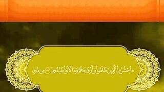 Belle Récitation Du Coran  #islamic_video #foryoupage #duaa #tranding #tilawah