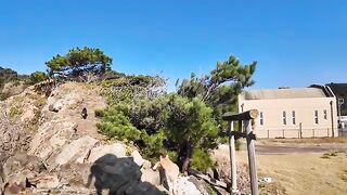 Two cats guarding a shrine on the edge of a seaside cliff are not really on good terms.