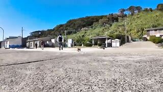 When you land on Cat Island, cats greet you at the port, and it's fun.