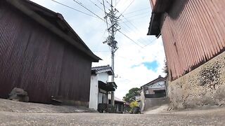 When I put the camera in an alley on Cat Island, a cat appears, and it's fun.