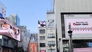 A new version of the cat at the east exit of Shinjuku, which moves between two screens.