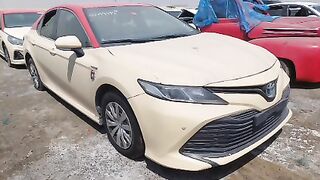 JTNB29HK8K3020412   2019 TOYOTA CAMRY  Lot#54959434  WATER/FLOOD