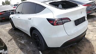 LRWYGCEK5NC237662    2022 TESL MODEL Y Lot#51853754 HAIL DAMAGE