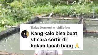 Cara SORTIR ikan lele dikolam tanah❗Kotor dan mandi LUMPUR itu pasti