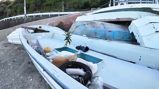 When I stroked the back of the cat sleeping on the boat, he licked and became cute.