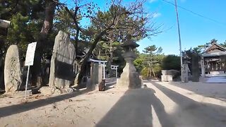 A black cat from the temple came to greet me at the gates of the torii.