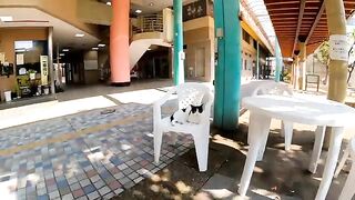 Terrace in the restaurant where you can share a table with your cat.