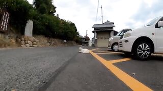 The white cat in the parking lot near the temple is saying something.