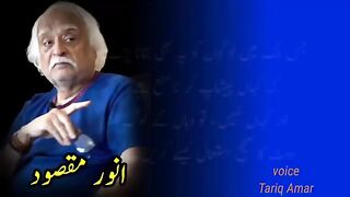 Anwar Maqsood Critical and Funny