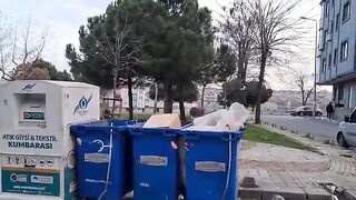 Poor cat is so hungry she's digging through the garbage dump to find food.