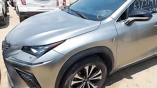 JTJBARBZ7L2227861    2020 LEXUS NX 300  Lot#63737444  WATER/FLOOD