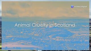 Stephanie Watson Glasgow Dog Video