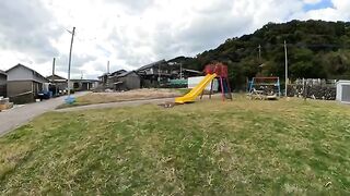 I teach cute kittens to play on the slide