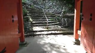 A temple where a Hachiware cat will welcome you