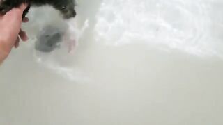 Kittens first bath!