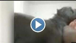 Watch: Stephanie Watson Dog L€aked ???? Video Stefanie Watson s Dog | Stefanie watson dog video Glasgow