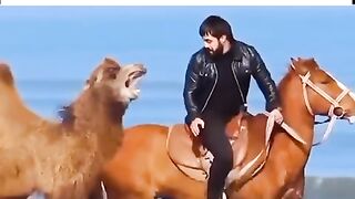 Love_#alyanmeo_#love_#friends_#friendship_#lovestatus_#horseriding_#horse_#foryou_#sad(480p).