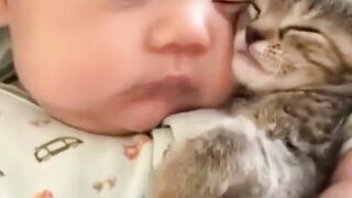 kitten being separated by baby