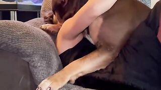 The dog to Stephanie Watson Leaked Video