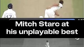 Gill out bold by starc