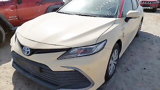 JTNB29HK9P3143451    2023 TOYOTA CAMRY  Lot#54476784   WATER/FLOOD