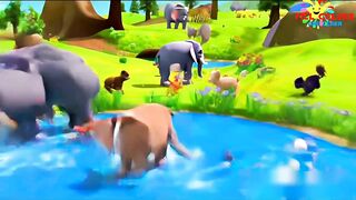 Animals everywhere Song | Animals cartoon | toddlers songs | Animals kids songs and nursery rhymes