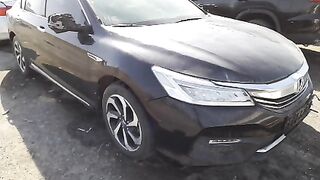 1HGCR3642HA600833   2017 HONDA ACCORD  Lot#53365924  HAIL